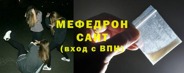 индика Каменка