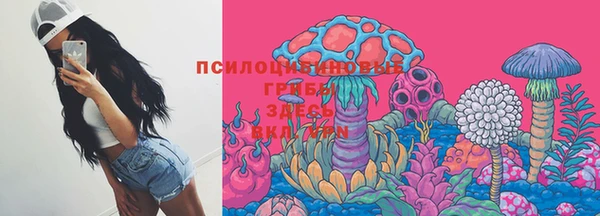 винт Каменск-Шахтинский