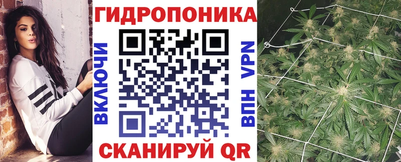 дарнет шоп  Заозёрск  Шишки марихуана гибрид 